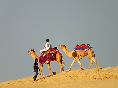 jaisalmer (340)